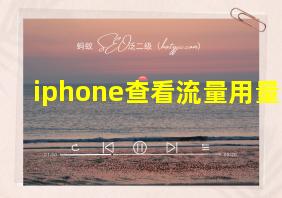 iphone查看流量用量