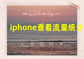 iphone查看流量统计