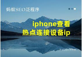 iphone查看热点连接设备ip