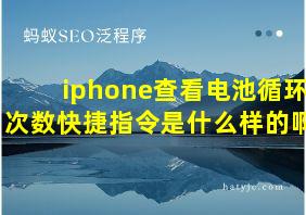 iphone查看电池循环次数快捷指令是什么样的啊