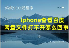 iphone查看百度网盘文件打不开怎么回事