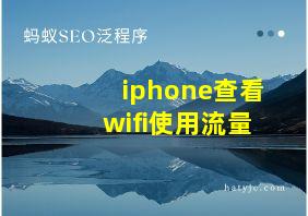 iphone查看wifi使用流量