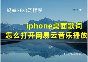 iphone桌面歌词怎么打开网易云音乐播放