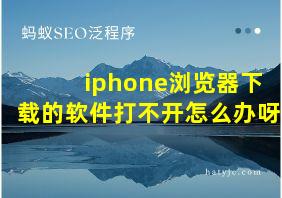 iphone浏览器下载的软件打不开怎么办呀