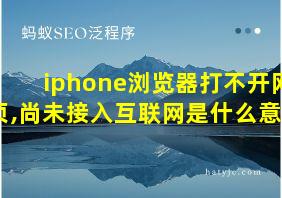 iphone浏览器打不开网页,尚未接入互联网是什么意思