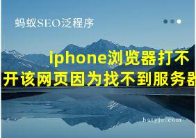 iphone浏览器打不开该网页因为找不到服务器