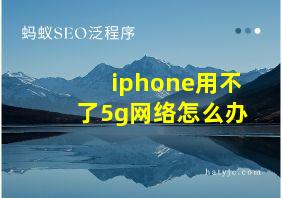 iphone用不了5g网络怎么办