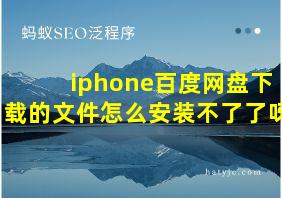 iphone百度网盘下载的文件怎么安装不了了呀