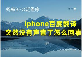 iphone百度翻译突然没有声音了怎么回事