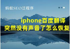 iphone百度翻译突然没有声音了怎么恢复