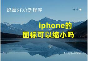 iphone的图标可以缩小吗