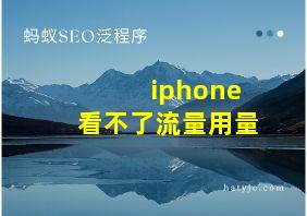 iphone看不了流量用量