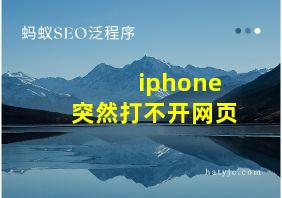 iphone突然打不开网页