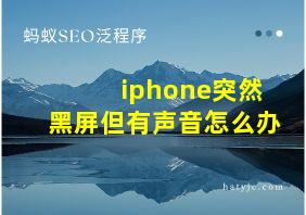 iphone突然黑屏但有声音怎么办