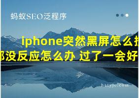 iphone突然黑屏怎么按都没反应怎么办 过了一会好了