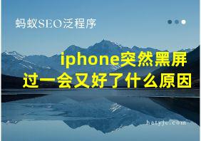 iphone突然黑屏过一会又好了什么原因