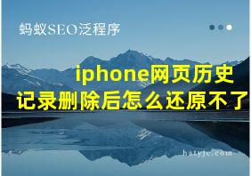 iphone网页历史记录删除后怎么还原不了