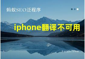 iphone翻译不可用