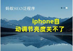 iphone自动调节亮度关不了