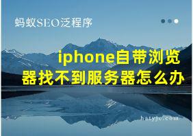 iphone自带浏览器找不到服务器怎么办