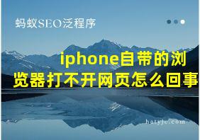 iphone自带的浏览器打不开网页怎么回事