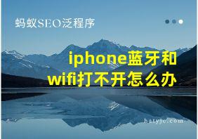 iphone蓝牙和wifi打不开怎么办