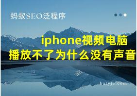 iphone视频电脑播放不了为什么没有声音