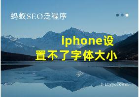 iphone设置不了字体大小