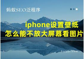 iphone设置壁纸怎么能不放大屏幕看图片