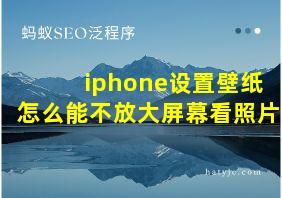 iphone设置壁纸怎么能不放大屏幕看照片