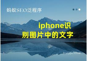 iphone识别图片中的文字