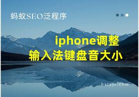 iphone调整输入法键盘音大小