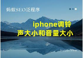 iphone调铃声大小和音量大小