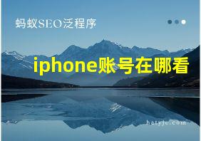 iphone账号在哪看