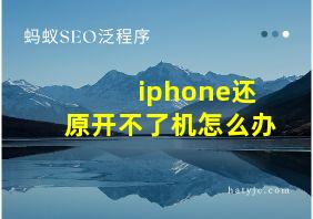 iphone还原开不了机怎么办