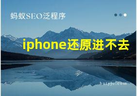 iphone还原进不去