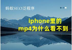 iphone里的mp4为什么看不到