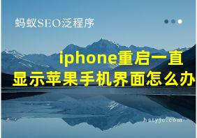 iphone重启一直显示苹果手机界面怎么办