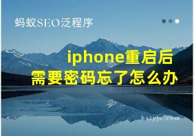 iphone重启后需要密码忘了怎么办