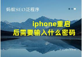 iphone重启后需要输入什么密码