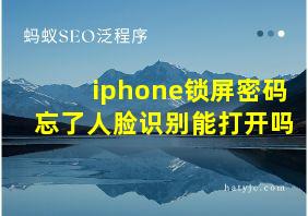 iphone锁屏密码忘了人脸识别能打开吗