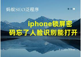 iphone锁屏密码忘了人脸识别能打开