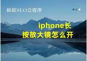 iphone长按放大镜怎么开