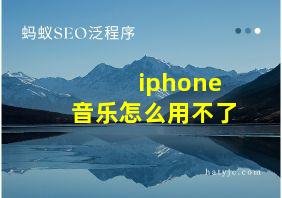 iphone音乐怎么用不了