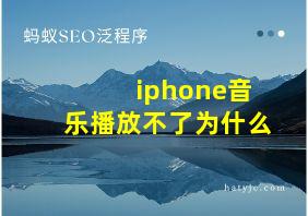 iphone音乐播放不了为什么