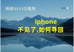 iphone 不见了,如何寻回