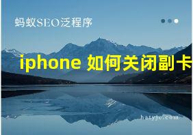 iphone 如何关闭副卡