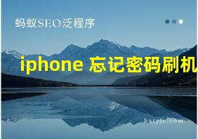 iphone 忘记密码刷机