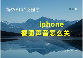 iphone 截图声音怎么关