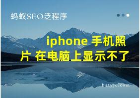 iphone 手机照片 在电脑上显示不了